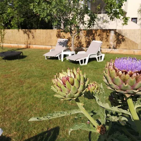 Apartment Chillout Apartments With Pool Patricia Fažana